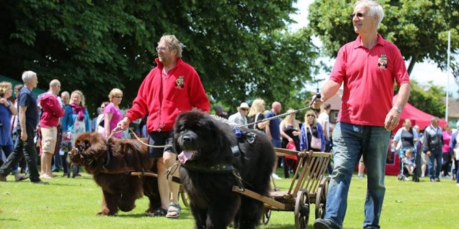 Fete-2016-4-670x335